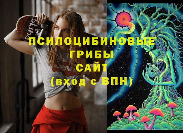 мет Медвежьегорск