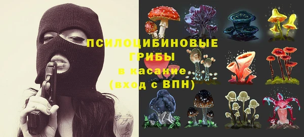 гашик Богородск