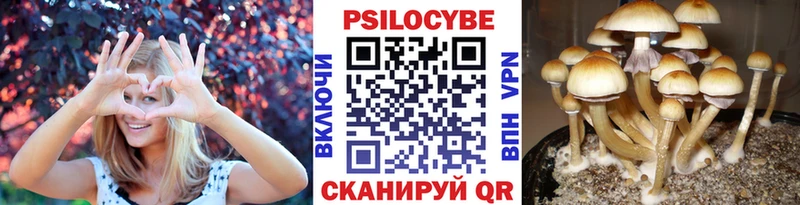 Псилоцибиновые грибы мухоморы  Сосновоборск 