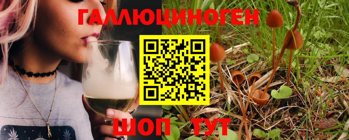 Сосновоборск  Галлюциногенные грибы Magic Shrooms  Вход с VPN  Галлюциногенные грибы мухоморы 