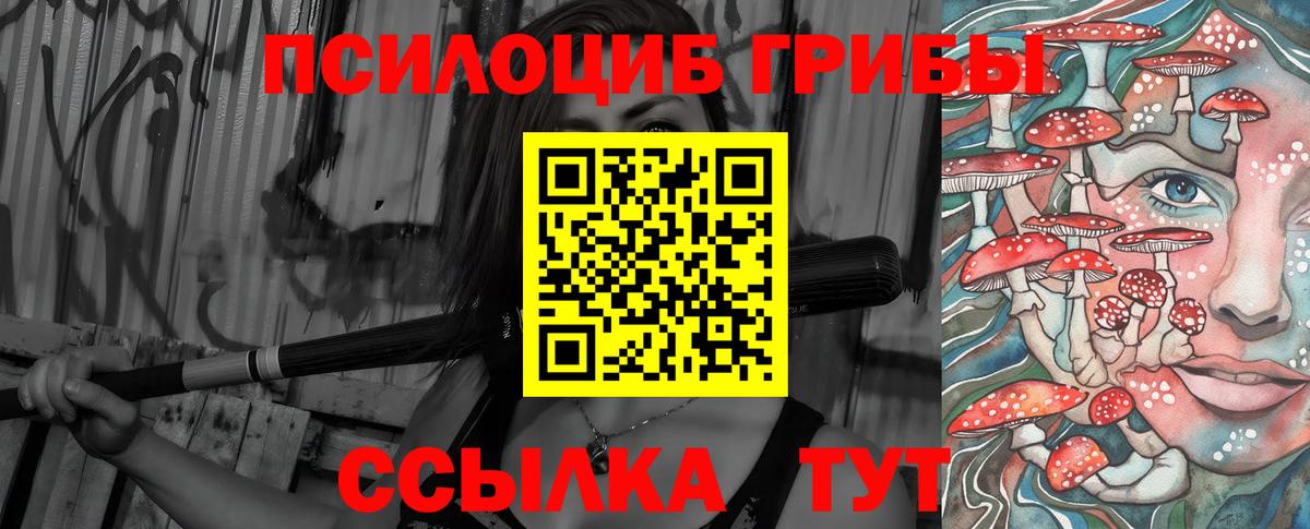 Псилоцибиновые грибы ЛСД  Сосновоборск  Псилоцибиновые грибы Psilocybe 